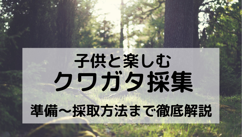 クワガタ採集 時期はいつ？天気や気温による条件、朝と夜時間別採取方法の場所とコツ、仕掛け、道具、持ち物、服装、スズメバチ対策と子供と楽しむコツを解説  | よきかな+