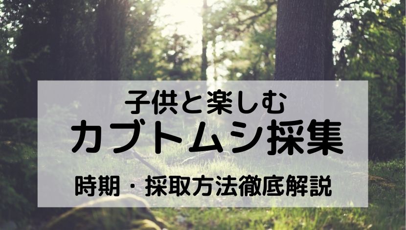 カブトムシ採集 時期 天気や気温による条件 朝と夜時間別採集方法の場所とコツ 仕掛け スズメバチ対策と子供と楽しむコツを解説 よきかな